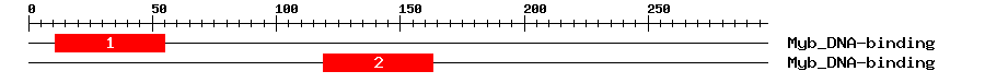 Signature Domain