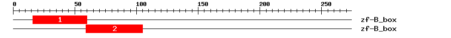 Signature Domain