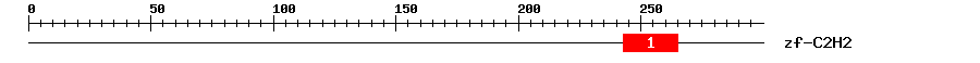 Signature Domain