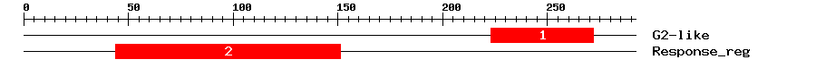 Signature Domain
