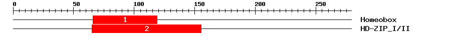 Signature Domain