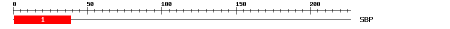 Signature Domain