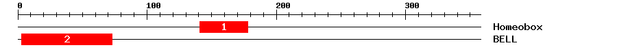 Signature Domain