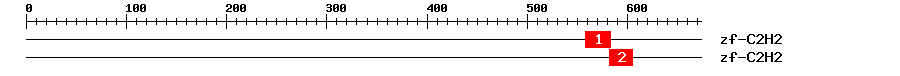 Signature Domain