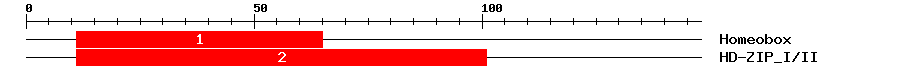 Signature Domain