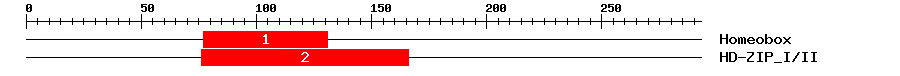Signature Domain