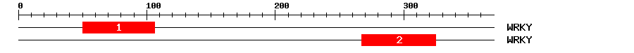 Signature Domain
