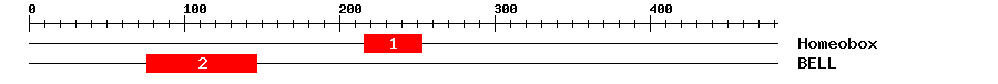 Signature Domain
