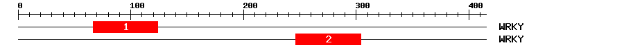 Signature Domain