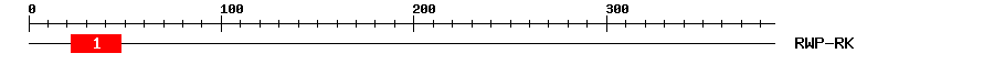 Signature Domain