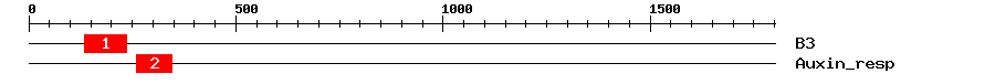 Signature Domain