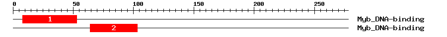 Signature Domain