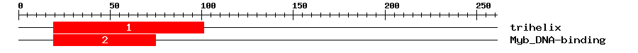 Signature Domain