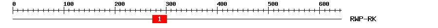 Signature Domain