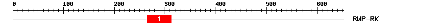 Signature Domain