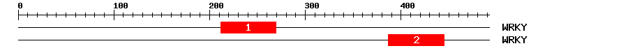 Signature Domain