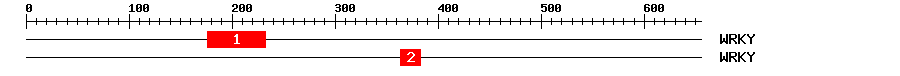 Signature Domain