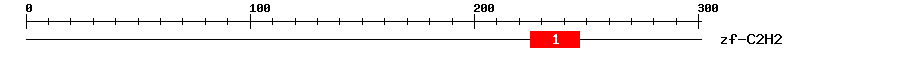 Signature Domain