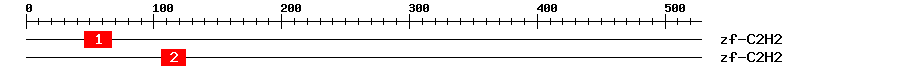 Signature Domain