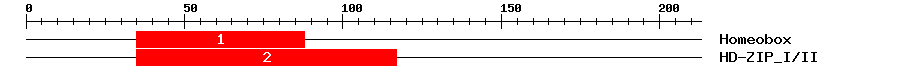 Signature Domain
