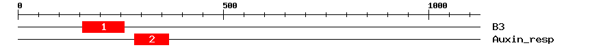 Signature Domain