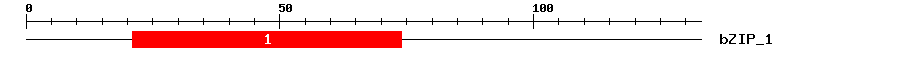 Signature Domain
