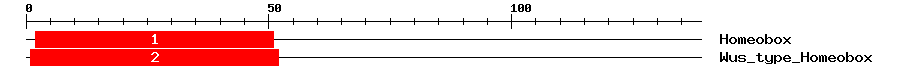 Signature Domain