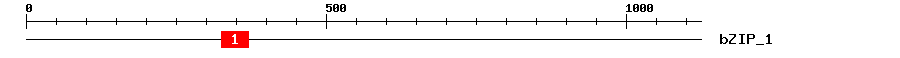Signature Domain