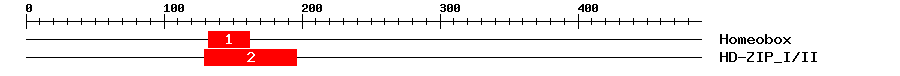 Signature Domain