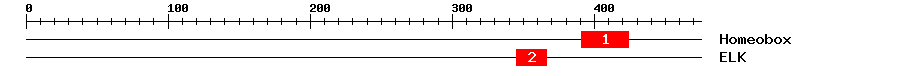 Signature Domain
