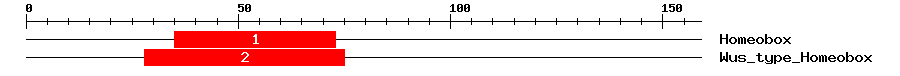 Signature Domain