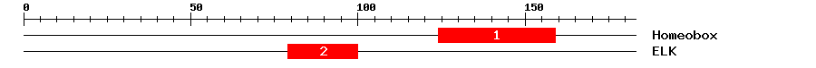 Signature Domain