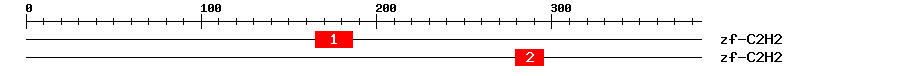 Signature Domain