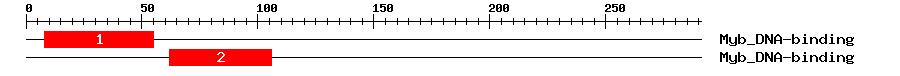 Signature Domain