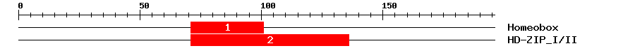 Signature Domain