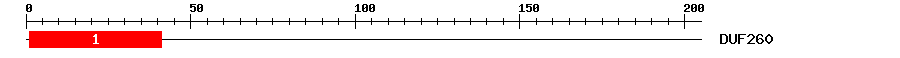 Signature Domain