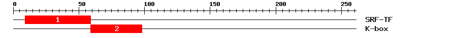 Signature Domain