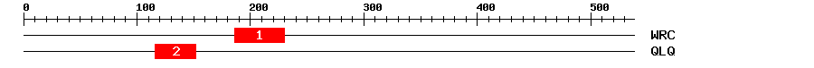 Signature Domain