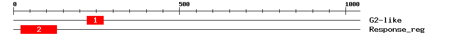 Signature Domain