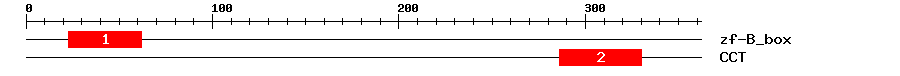 Signature Domain