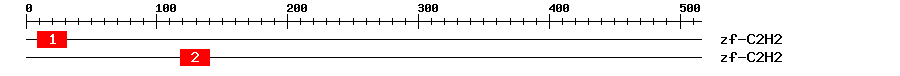 Signature Domain