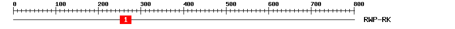 Signature Domain