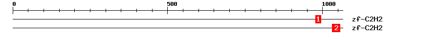 Signature Domain