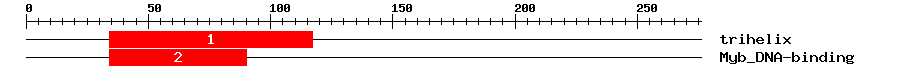 Signature Domain