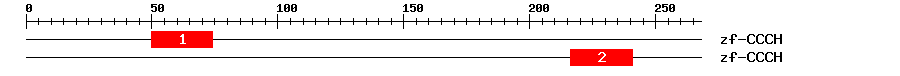 Signature Domain
