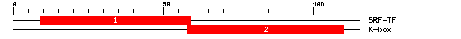 Signature Domain