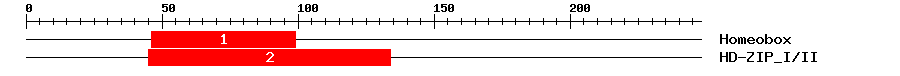 Signature Domain