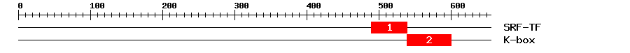Signature Domain