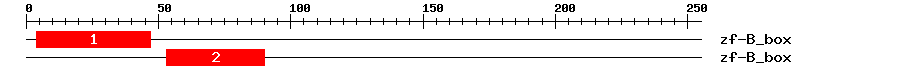 Signature Domain