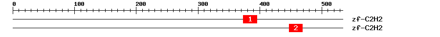 Signature Domain